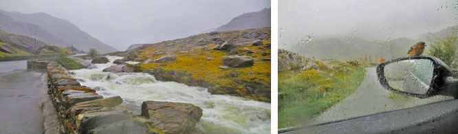 Unberechenbare Naturgewalt und alles andere als rastlose Fauna. Ein typischer Tag in Snowdonia. Eine alte, walisische Weise: "Hir yw pob ymaros" - all waiting is long. Wann hört der Regen auf?    