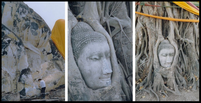 "Took these pics in historic Ayutthaya - the old capital of #Thailand - again. A great location, only 50 miles from Bangkok"... #Buddhism