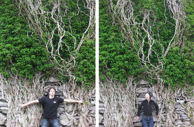 "Transformation among Hedera helix (Ivy) or >The Unforgettable Fire< - not Ballycarbery Castle, Kerry - but  Moydrum Castle, Athlone/Westmeath."