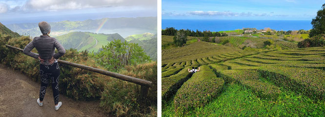 "Boca do Inferno (l.) und Chá Gorreana (r.), the only tea plantation in Europe (since 1883)." Lediglich das benachbarte Chá Porto Formoso und Truro in Cornwall/England haben jeweils eine weitere, kleinere Tee-Anpflanzung aufzubieten...