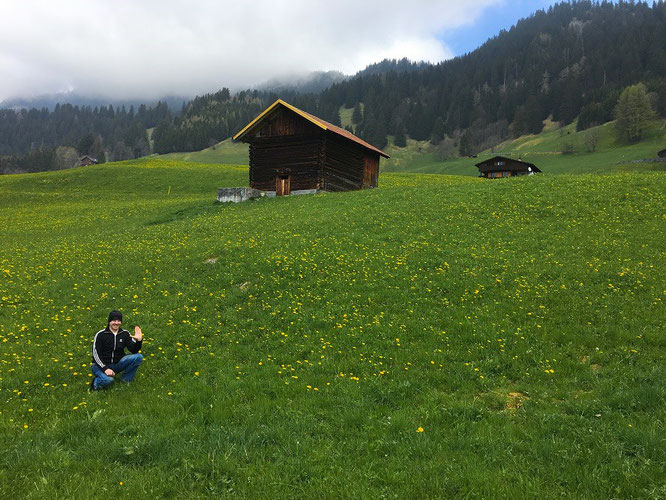 Auf Wiedersehen...aus dem Dreiländereck Liechtenstein, Österreich und Schweiz...