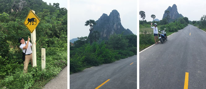 Achtung: Affen! Im südöstlichen Randgebiet des Khao Nang Phanthurat Forest Park...