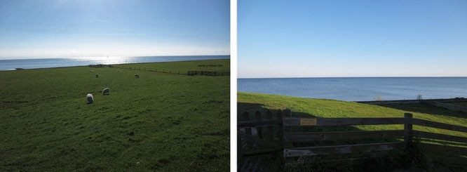 Die Nordseeküste zwischen Alkmaar und Den Heeg am frühen Morgen. Immer wieder eröffnen sich (grün-blaue) Ausblicke auf das Meer, unterbrochen von einigen - vor allem im Sommer gutbesuchten - Badestränden wie Zandvoort und Bloemendaal...   