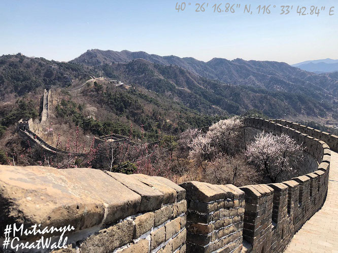 The Great Wall of China, Mutianyu (40° 26′ 16.86″ N, 116° 33′ 42.84″ E)...