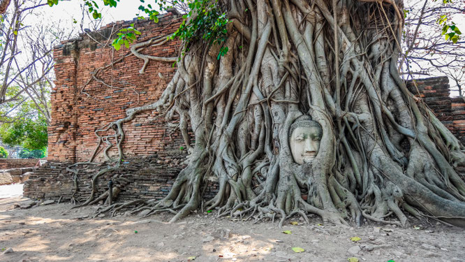 Tempel Wat Mahathat