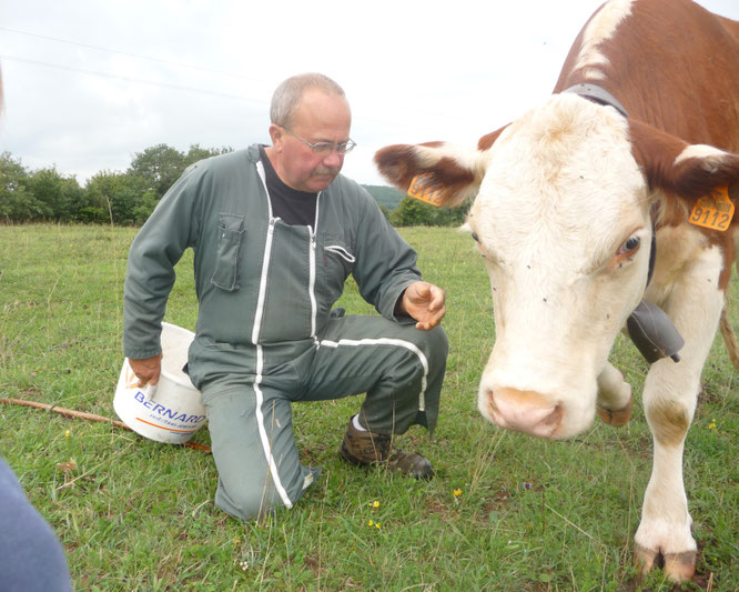 Jean François Protheau Eleveur Hereford
