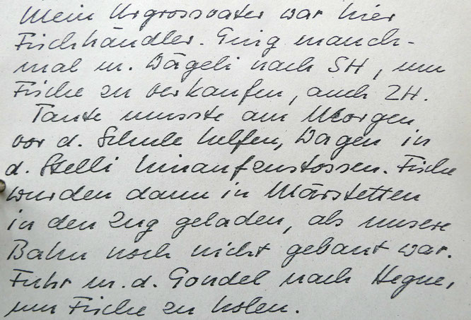 Notizen von Hedi Blattner