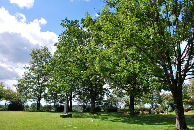 Bild: Westfriedhof Ravensburg Naturschutz Artenvielfalt