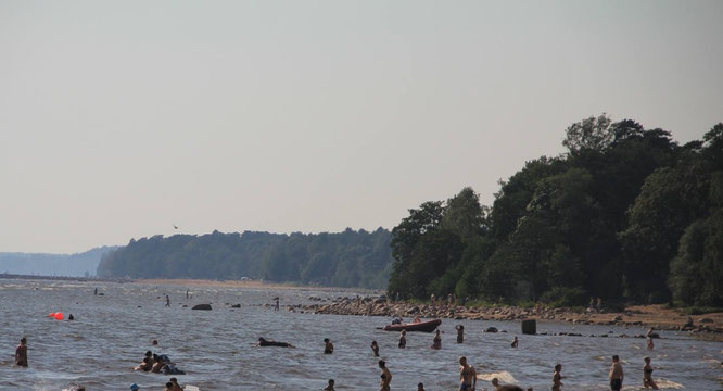 Die Bucht von Selenogorsk