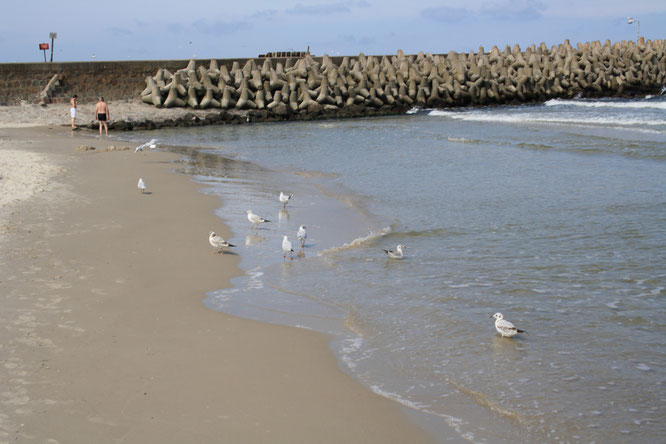 Strandidylle am Morgen