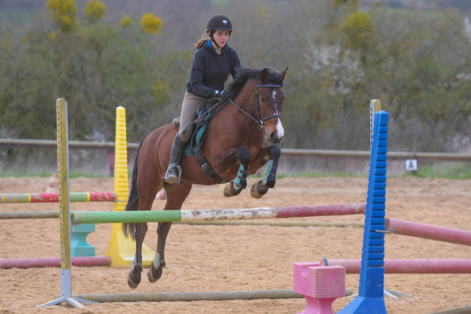 Cours d'équitation à Auxerre, cours particulier pour une meilleure progression