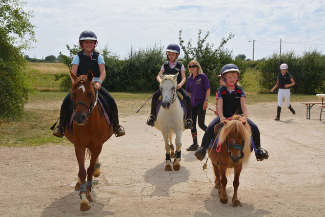 Stage d'équitation dans l'Yonne à proximité d'Auxerre