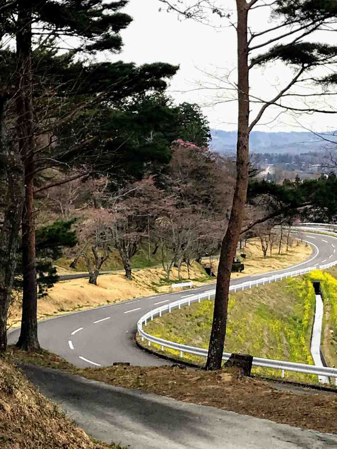 二本松市 観音丘陵遊歩道