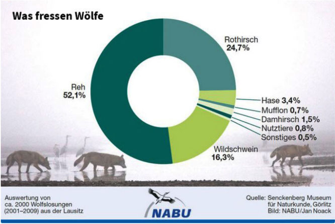 Gafik: NABU, Jan Noak, 2020