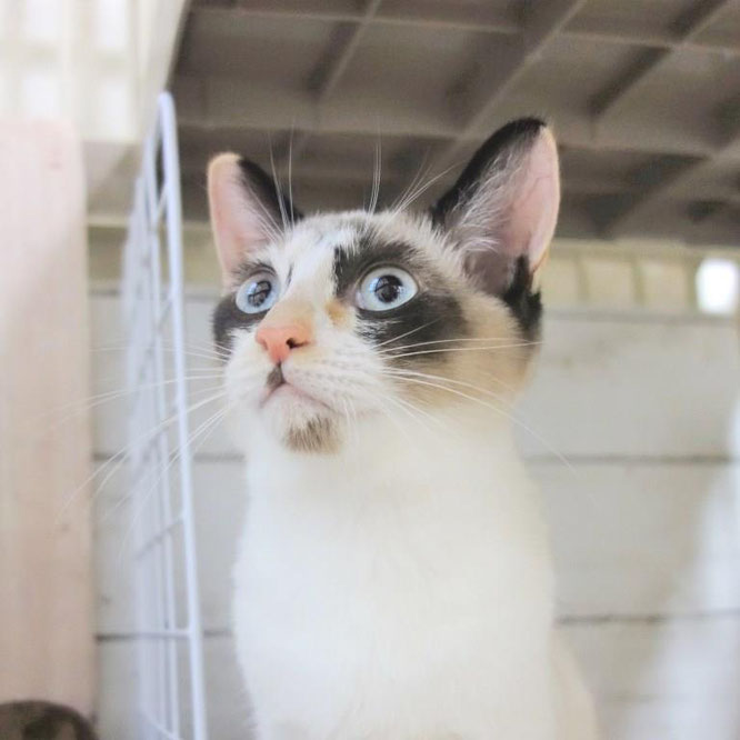 みと