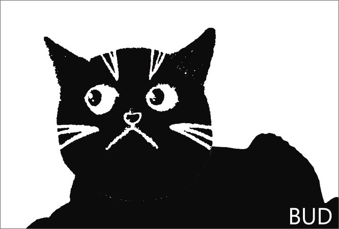 バドくん