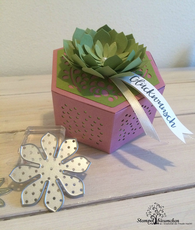 Stampin Up Sukkulente Akzente