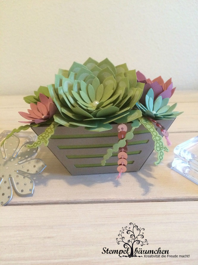 Stampin Up Sukkulente Akzente Fensterschachtel