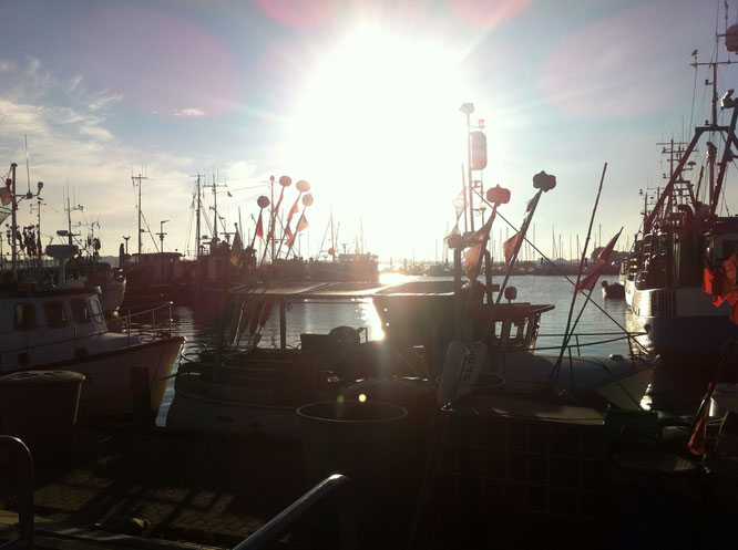 Hafen, Burgstaaken, Fehmarn, Ostsee, Benitaljo