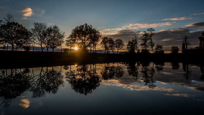The sun and the silence