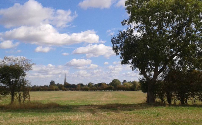 View to St Mary’s Church from the fields proposed for housing behind the Moors.