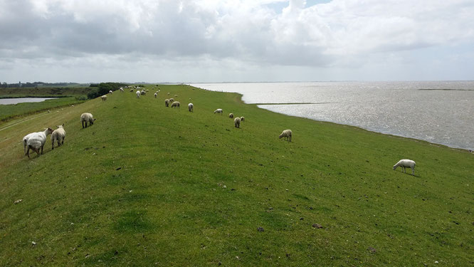 Blick auf die Nordsee