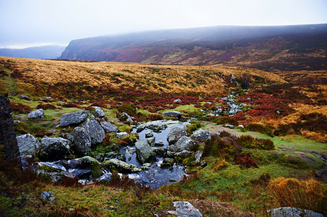 Wicklow Mountains || Ireland🇮🇪  -> Read now my blog post!