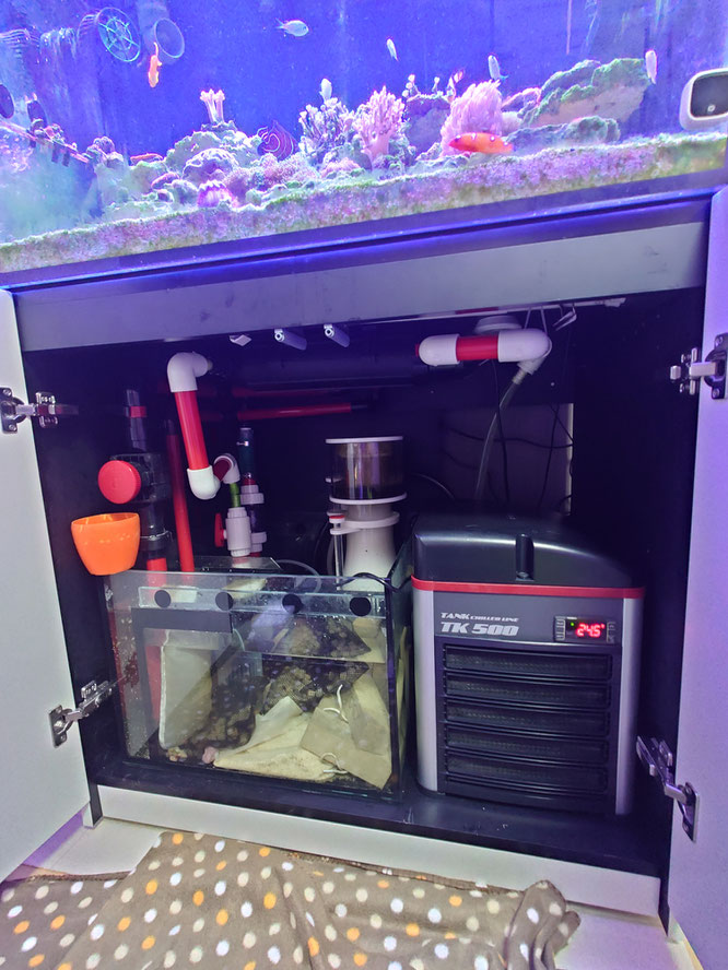 hsbao dcポンプ　レッドシーリーファー　オーバーフロー水槽　　DCポンプ　オーバーフロー水槽用分岐配管