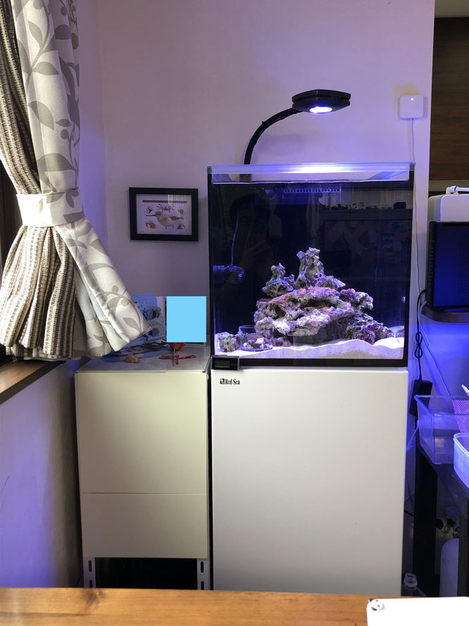 最も優遇の jebao DCポンプ 6500 淡水 海水魚 オーバーフロー水槽