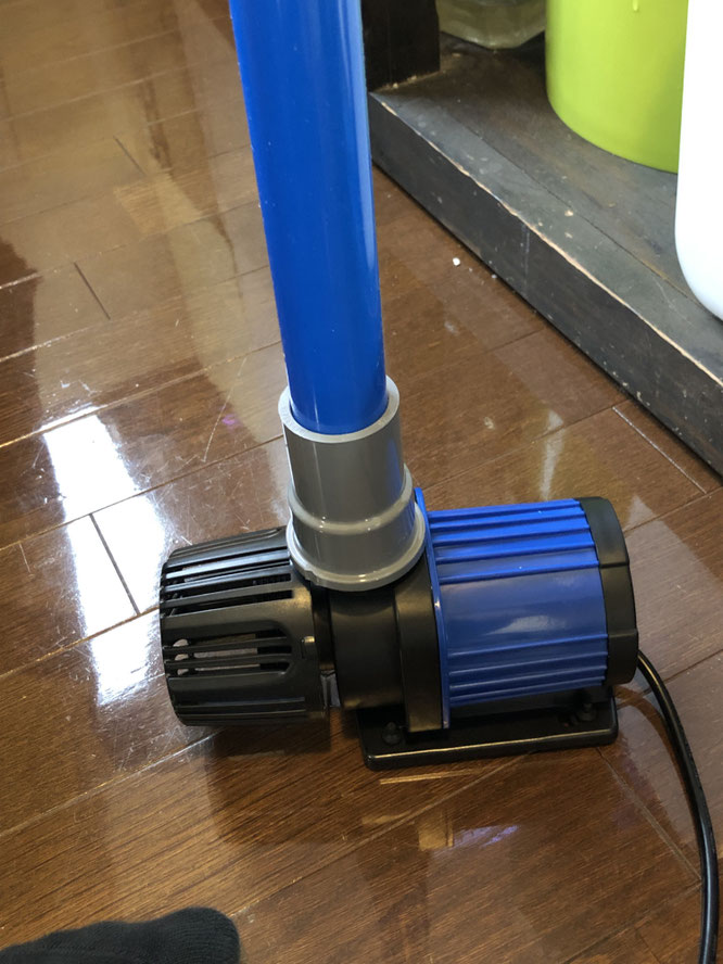 おすすめの人気　jebao　DCポンプ　6500　淡水・海水魚　オーバーフロー水槽