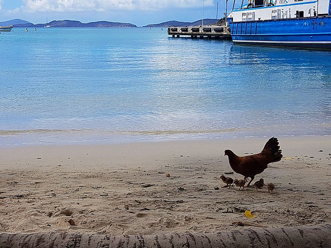 Cruz Bay, St. John