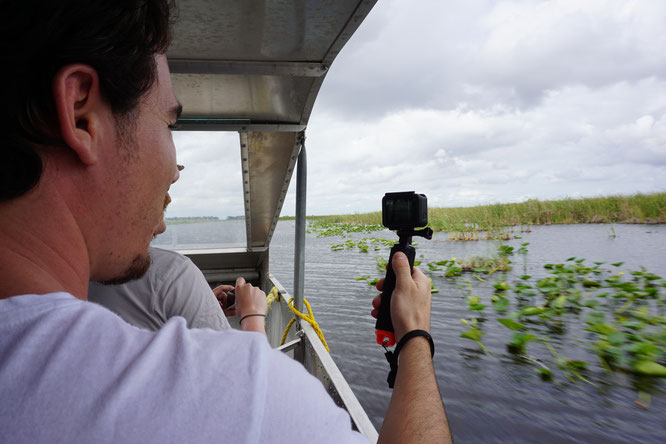 Reisebericht Tagesausflug von Miami zu den Everglades