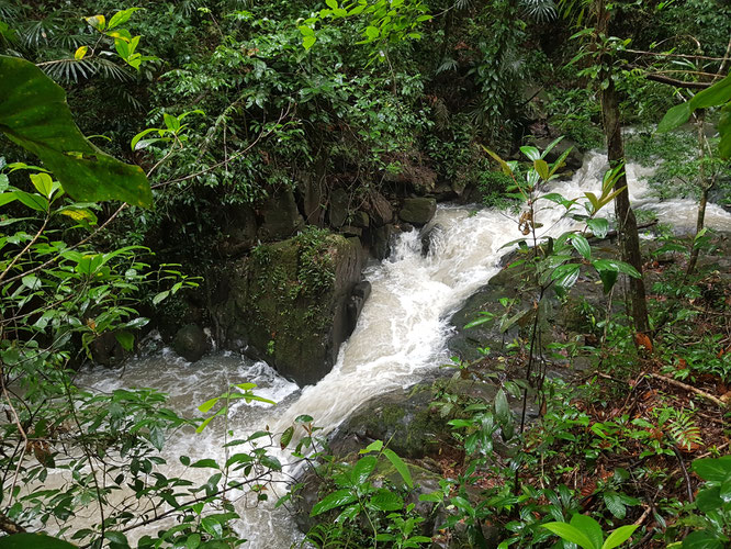 Belize Cockscomb Basin Wildlife Sanctuary Nationalpark - Top Belize Sehenswürdigkeiten