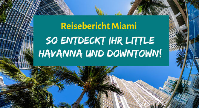 Downtown Miami und Little Havanna entdecken: So geht's