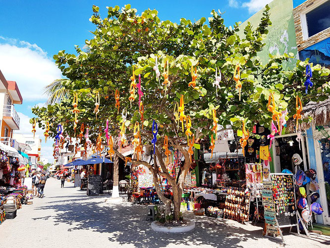 Die Isla Mujeres auf eigene Faust erkunden - so geht's!