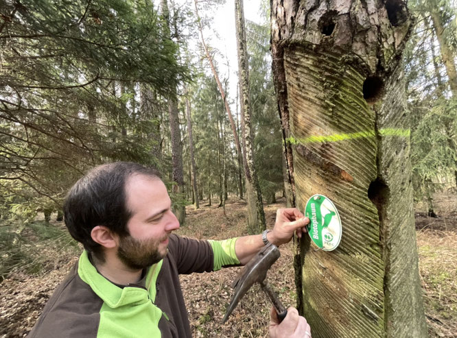 Anbringen des PEFC-Siegels im landkreiseigenen Wald © Landratsamt Görlitz