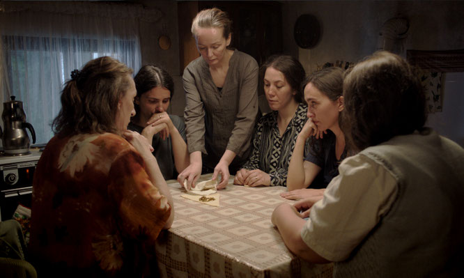 Foto: CINEMASCOPE ZGJOI / BIENENSTOCK / HIVE
