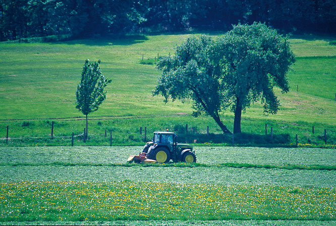 Foto: Mario Heinke