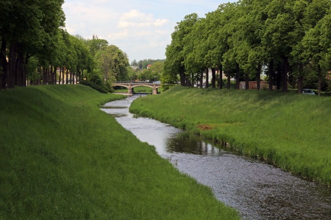 Foto: Mario Heinke