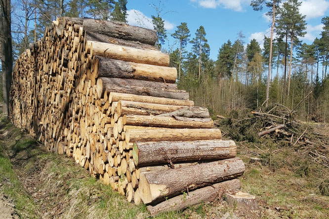 Foto: Mario Heinke