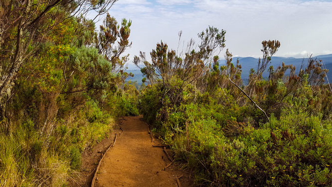 Kilimanjaro Lemosho Route