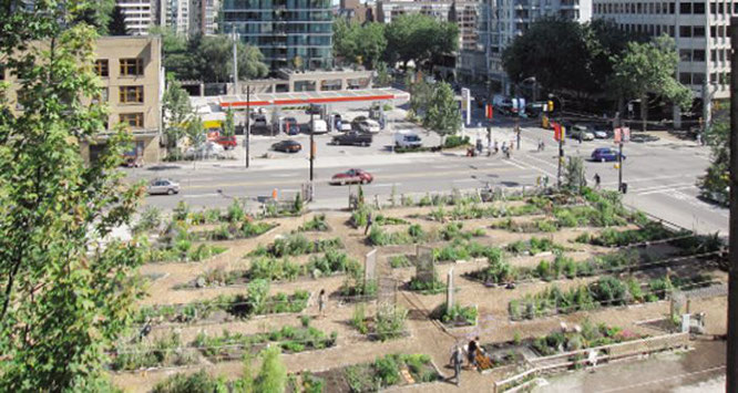 Urban Gardening NRW