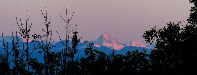 ... und der Hochvogel, das "Matterhorn des Allgäus"