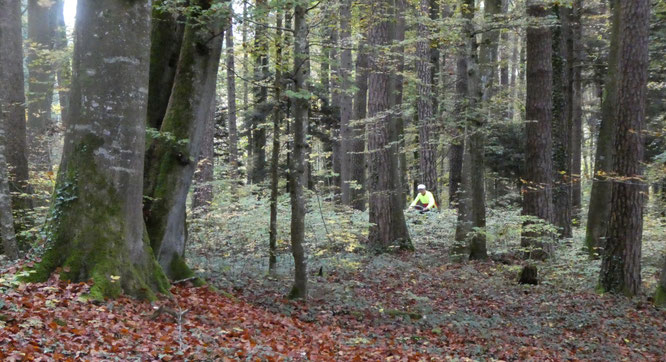 All jenen sei hier eine besondere Gratulation, die sich zum ersten Mal mit Velo und Karte in den grossen weiten Wald gewagt haben!!