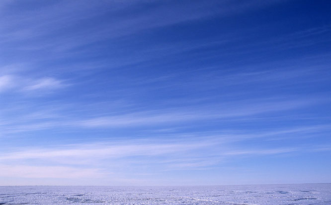 The frozen  Arctic Ocean  in Alaska