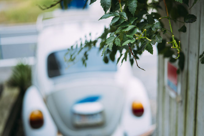 ENTRANCEにあるVW type1