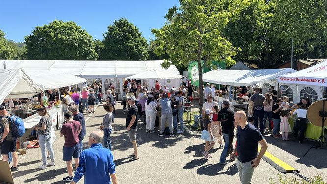 Hier geht's zu den "Geburtstagsfest-Bildern"