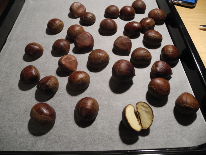chestnut ofen