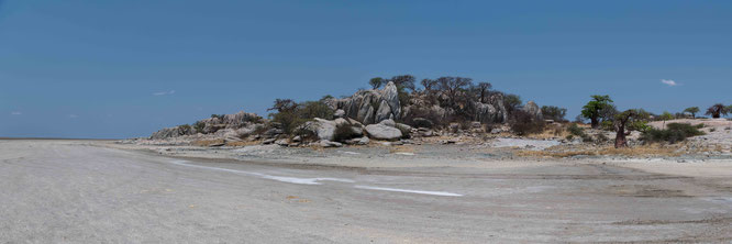kubu island - makgadikgadi pans botswana