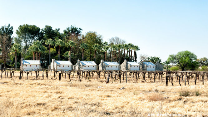 kalahari namibia